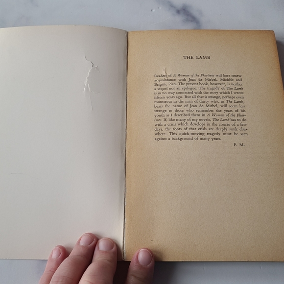 The Lamb - Picture 2 of 10